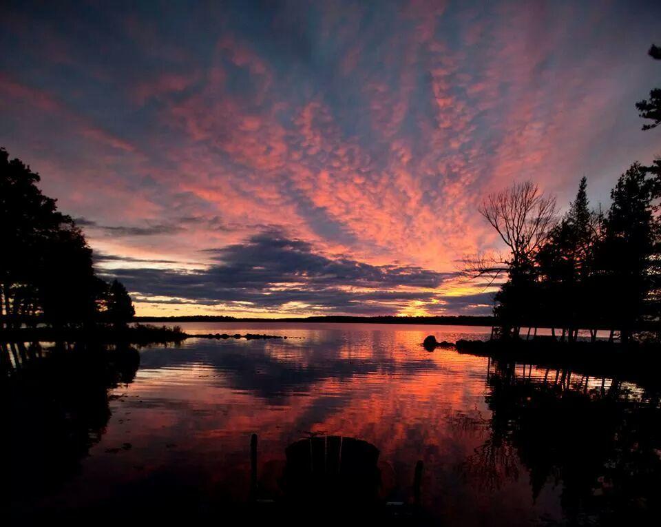 Little Hawk Resort & Marina Algonquin Highlands 외부 사진