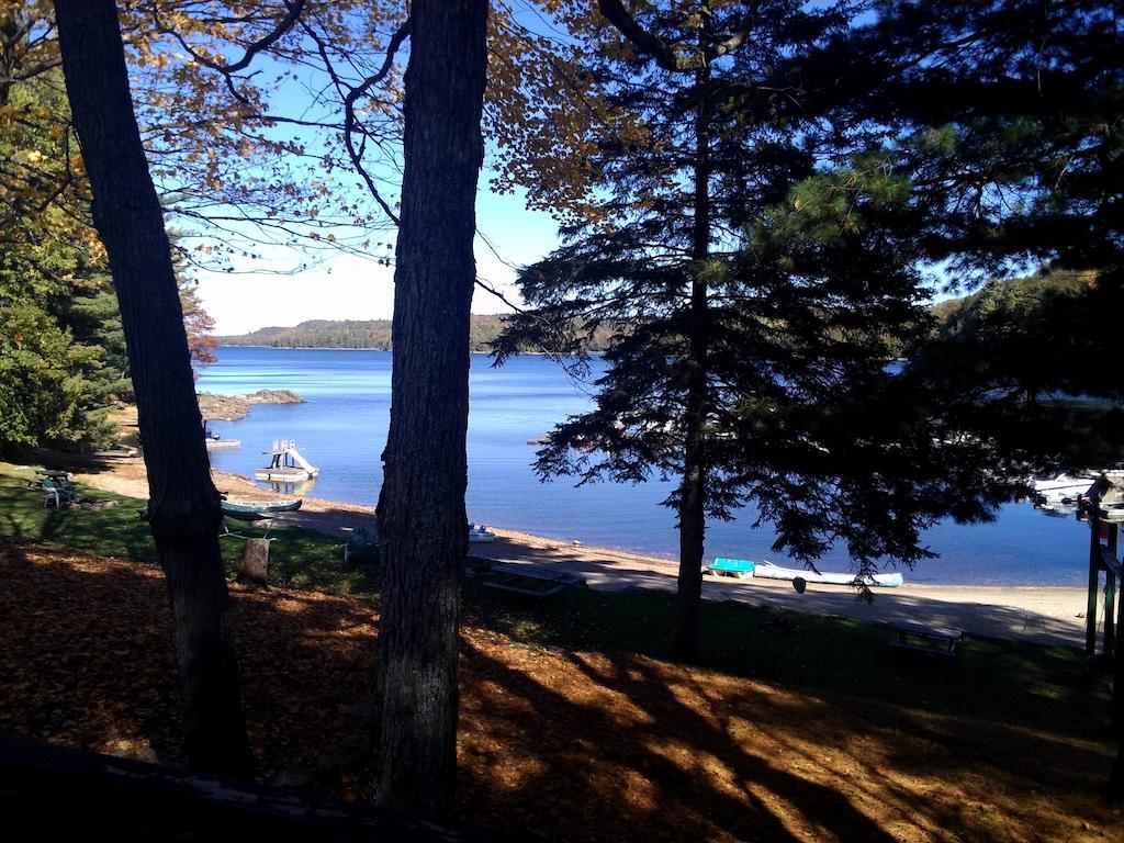 Little Hawk Resort & Marina Algonquin Highlands 외부 사진